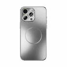 For iPhone 15 Pro Max ABEEL Heat Dissipation Frosted MagSafe Phone Case with Lens Film(Silver) - 2