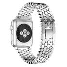 For Apple Watch 42 / 44 / 45 / 46 / 49mm xDfind Fish Scale Texture Metal Watch Band(Silver) - 2