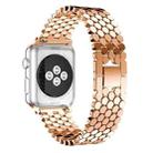 For Apple Watch 42 / 44 / 45 / 46 / 49mm xDfind Fish Scale Texture Metal Watch Band(Rose Gold) - 2