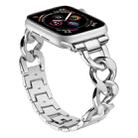 For Apple Watch 42 / 44 / 45 / 46 / 49mm xDfind Denim Chain Metal Watch Band(Silver) - 1