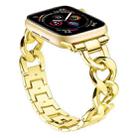 For Apple Watch 42 / 44 / 45 / 46 / 49mm xDfind Denim Chain Metal Watch Band(Gold) - 1