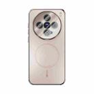 For vivo X200 Pro mini ABEEL Heat Dissipation Frosted MagSafe Phone Case with Lens Film(Rose Gold) - 2