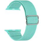For Apple Watch 42 / 44 / 45 / 46 / 49mm xDfind Adjustable Slide Buckle Elastic Nylon Watch Band(Mint Green) - 2