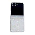 For Samsung Galaxy Z Flip7 5G Three-piece Set Pearlescent Shell Texture Phone Case(Beige) - 1