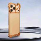 For iPhone 17 Pro Max Frameless Metal Corner Pad Phone Case with Lens Film(Gold) - 1