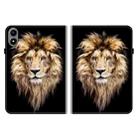 For Infinix Xpad 20 Crystal Texture Colored Drawing Leather Tablet Case(Lion Head) - 2