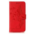 For Motorola Moto G5 Plus 5G Feather Pattern Litchi Texture Horizontal Flip Leather Case with Wallet & Holder & Card Slots(Red) - 2