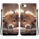 For iPhone SE 2022 / SE 2020 / 8 / 7 Crystal Texture Colored Drawing Leather Phone Case(Calf) - 1