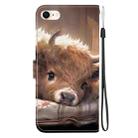For iPhone SE 2022 / SE 2020 / 8 / 7 Crystal Texture Colored Drawing Leather Phone Case(Calf) - 3