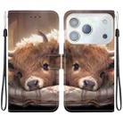 For iPhone 17 Pro Max Crystal Texture Colored Drawing Leather Phone Case(Calf) - 1