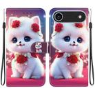 For iPhone 17 Air Crystal Texture Colored Drawing Leather Phone Case(Rose Cat) - 1