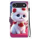For iPhone 17 Air Crystal Texture Colored Drawing Leather Phone Case(Rose Cat) - 3