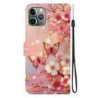 For iPhone 11 Pro Crystal Texture Colored Drawing Leather Phone Case(Lantern Butterflies) - 3