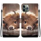 For iPhone 11 Pro Crystal Texture Colored Drawing Leather Phone Case(Calf) - 1
