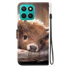 For Honor X8c 4G Crystal Texture Colored Drawing Leather Phone Case(Calf) - 3