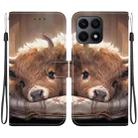 For Honor X8a Crystal Texture Colored Drawing Leather Phone Case(Calf) - 1