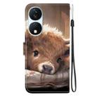 For Honor X7b / Play 50 Plus Crystal Texture Colored Drawing Leather Phone Case(Calf) - 3