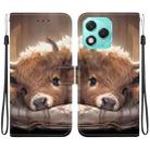For Honor 400 Lite Global Crystal Texture Colored Drawing Leather Phone Case(Calf) - 1