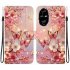 For Honor 200 Pro Crystal Texture Colored Drawing Leather Phone Case(Lantern Butterflies) - 1