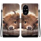 For Honor 200 Pro Crystal Texture Colored Drawing Leather Phone Case(Calf) - 1