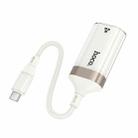 hoco UA41B Crystal 100Mbps Type-C to RJ45 Ethernet Adapter(Apricot) - 3