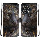 For Tecno Camon 30S / Camon 30S Pro Crystal Texture Colored Drawing Leather Phone Case(Black Gold Lion) - 1