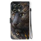 For Tecno Camon 30S / Camon 30S Pro Crystal Texture Colored Drawing Leather Phone Case(Black Gold Lion) - 3