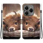 For Tecno Spark 20 Pro 4G Crystal Texture Colored Drawing Leather Phone Case(Calf) - 1