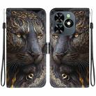 For Tecno Spark Go 2024 / Spark 20 / Spark 20C Crystal Texture Colored Drawing Leather Phone Case(Black Gold Lion) - 1