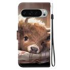 For Google Pixel 9 / Pixel 9 Pro Crystal Texture Colored Drawing Leather Phone Case(Calf) - 3