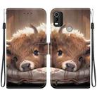 For Nokia C21 Plus Crystal Texture Colored Drawing Leather Phone Case(Calf) - 1