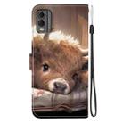 For Nokia C32 Crystal Texture Colored Drawing Leather Phone Case(Calf) - 3