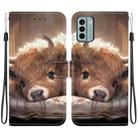 For Nokia G22 Crystal Texture Colored Drawing Leather Phone Case(Calf) - 1