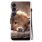 For Sony Xperia 1 VII Crystal Texture Colored Drawing Leather Phone Case(Calf) - 3
