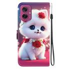 For Motorola Moto G55 Crystal Texture Colored Drawing Leather Phone Case(Rose Cat) - 3