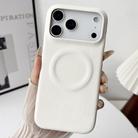 For iPhone 17 Pro Max Skin Feel Sheepskin MagSafe Magnetic Phone Case(White) - 1
