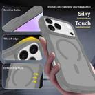 For iPhone 17 Pro Skin Feel Wave Texture MagSafe Phone Case(Grey) - 2