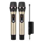 DEBRA A-25 UHF Wireless Rechargeable Microphone System for Stage KTV, Model:Two Mic(Gold) - 1