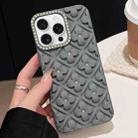 For iPhone 13 Pro Oil-sprayed 3D Flower Diamond TPU Phone Case(Grey) - 1