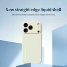 For iPhone 17 Pro Max Do As You Wish A1440 Fine Hole Straight Edge Silicone Phone Case(Green) - 2