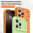 For iPhone 16 Pro Max Change to 17 Pro Series Liquid Silicone Phone Case(Mambo Green) - 5