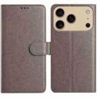 For iPhone 17 Pro Lambskin 8-card Slot Leather Phone Case(Grey) - 1