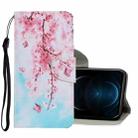 For iPhone 12 Pro Max Coloured Drawing Pattern Horizontal Flip PU Leather Case with Holder & Card Slots & Wallet & Lanyard(Cherry Blossoms) - 1