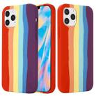 For iPhone 12 / 12 Pro Rainbow Liquid Silicone Shockproof Full Coverage Protective Case - 1