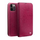 For iPhone 12 / 12 Pro QIALINO Crocodile Texture Horizontal Flip Leather Case with Card Slots & Wallet(Rose Red) - 1