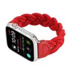 Elastic Woven Watch Band For Apple Watch Ultra 49mm / Series 8&7 45mm / SE 2&6&SE&5&4 44mm / 3&2&1 42mm, Length:160mm(Red) - 4