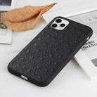 For iPhone 11 Ostrich Texture Genuine Leather Protective Case (Black) - 2