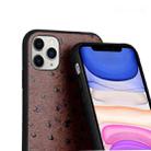 For iPhone 11 Ostrich Texture Genuine Leather Protective Case (Black) - 3