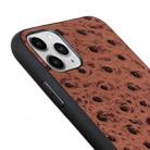 For iPhone 11 Ostrich Texture Genuine Leather Protective Case (Black) - 5