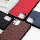 For iPhone 11 Ostrich Texture Genuine Leather Protective Case (Black) - 6